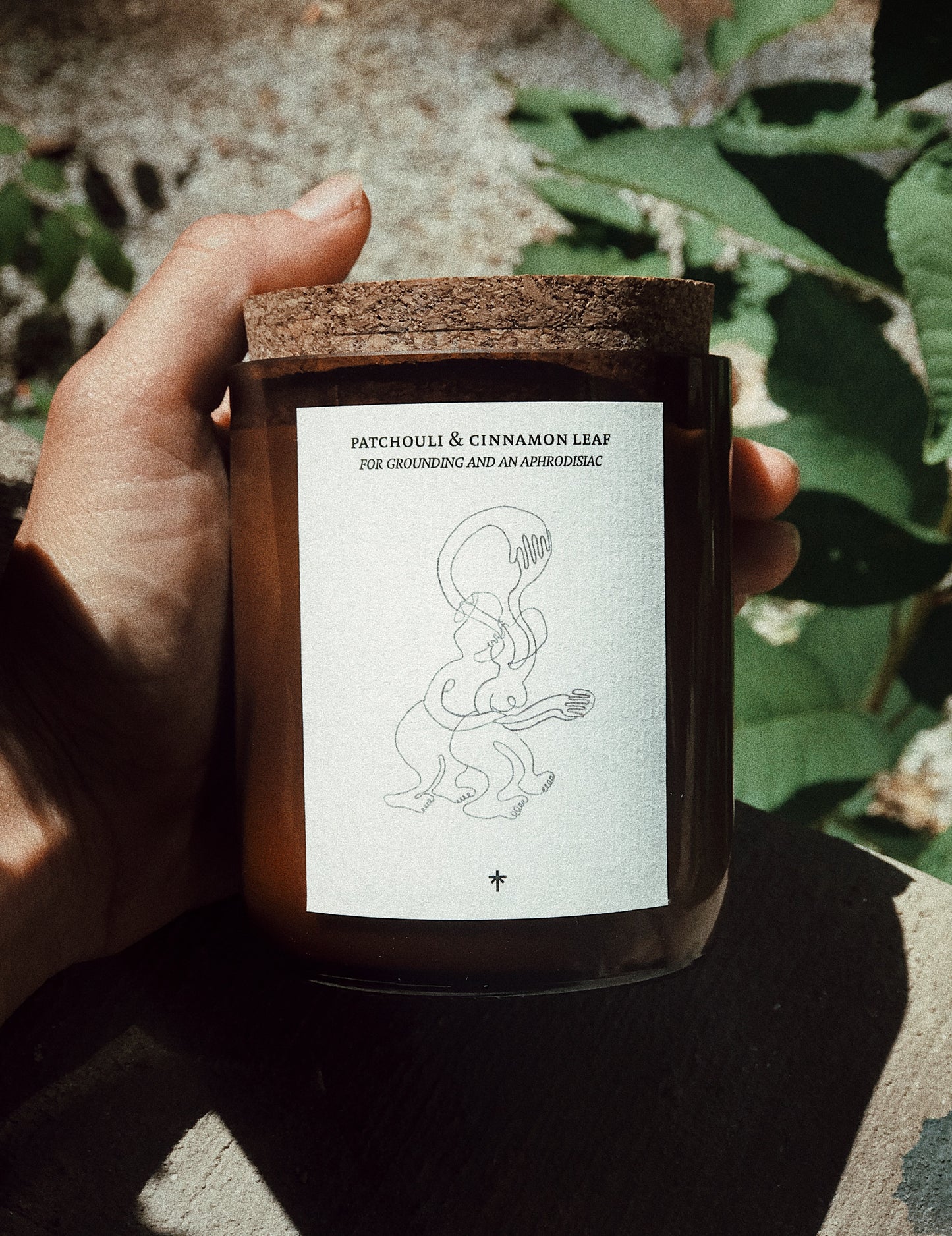 Illustrated Candle Collection