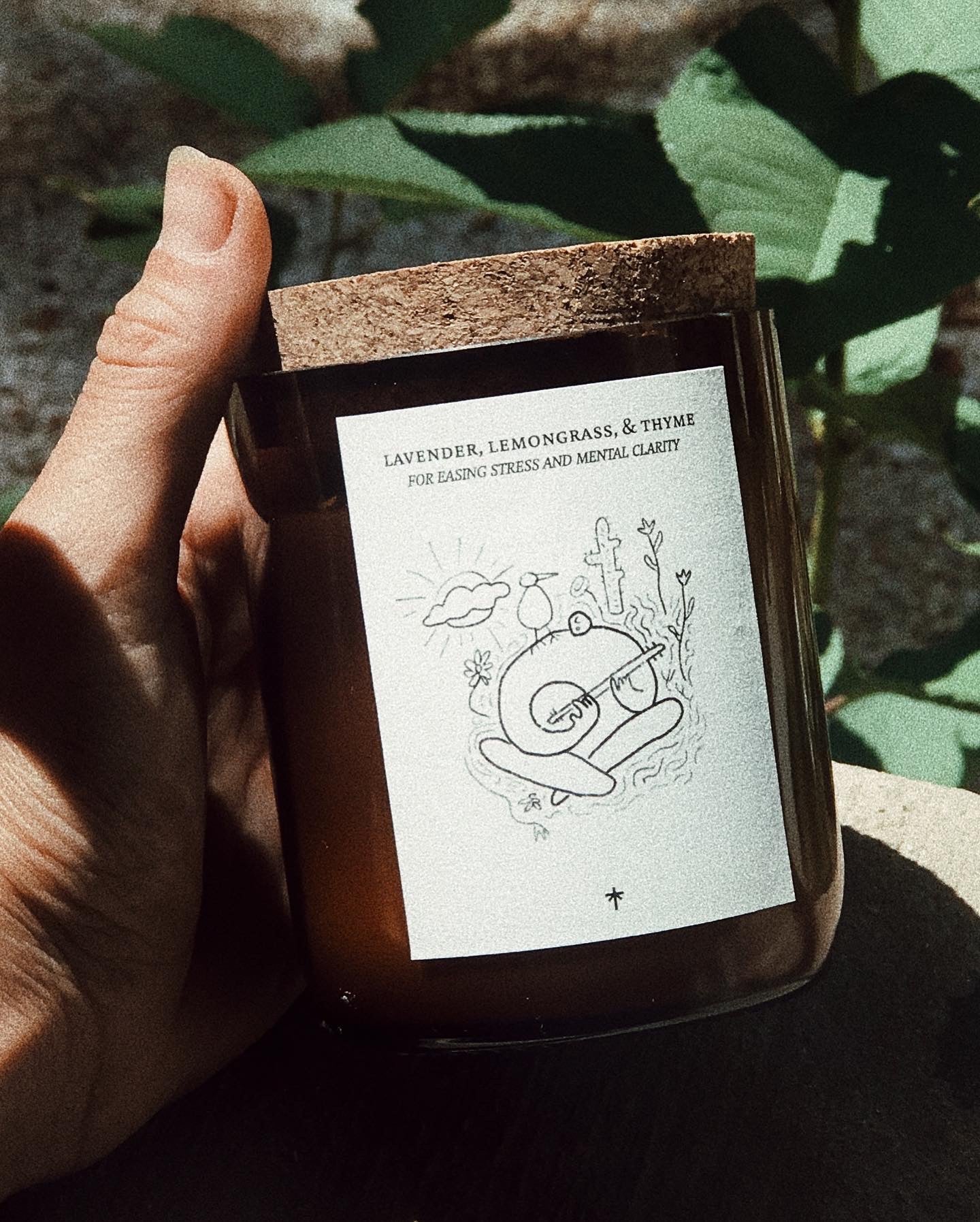 Illustrated Candle Collection